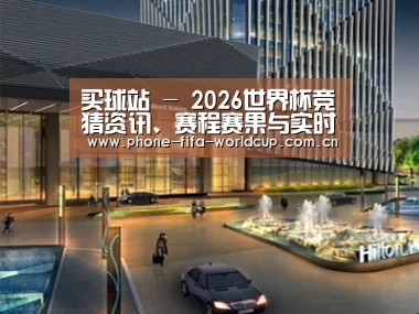 案例展示二(图1)
