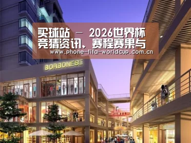 案例展示一