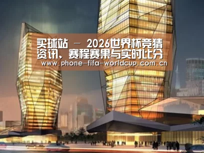 案例展示三